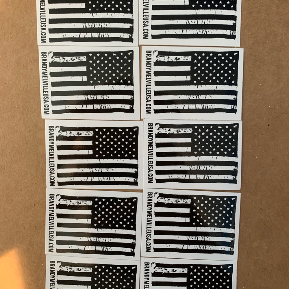 Brandy Melville 10 Stickers🔥